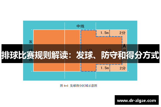 排球比赛规则解读：发球、防守和得分方式