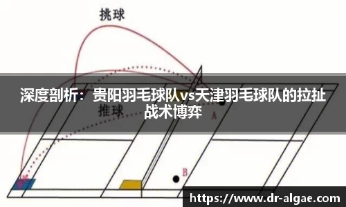 深度剖析：贵阳羽毛球队vs天津羽毛球队的拉扯战术博弈